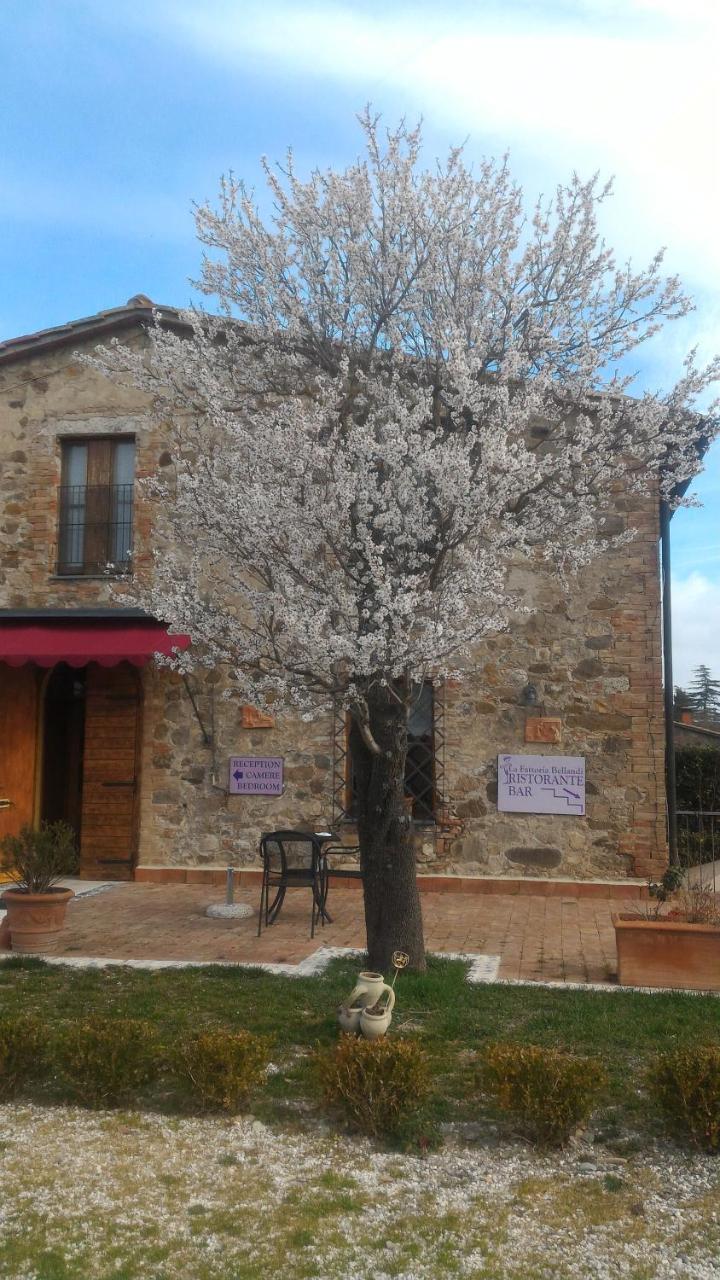Country House La Fattoria Bellandi Contignano Eksteriør billede